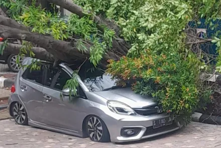 Pohon Tumbang Timpa Mobil